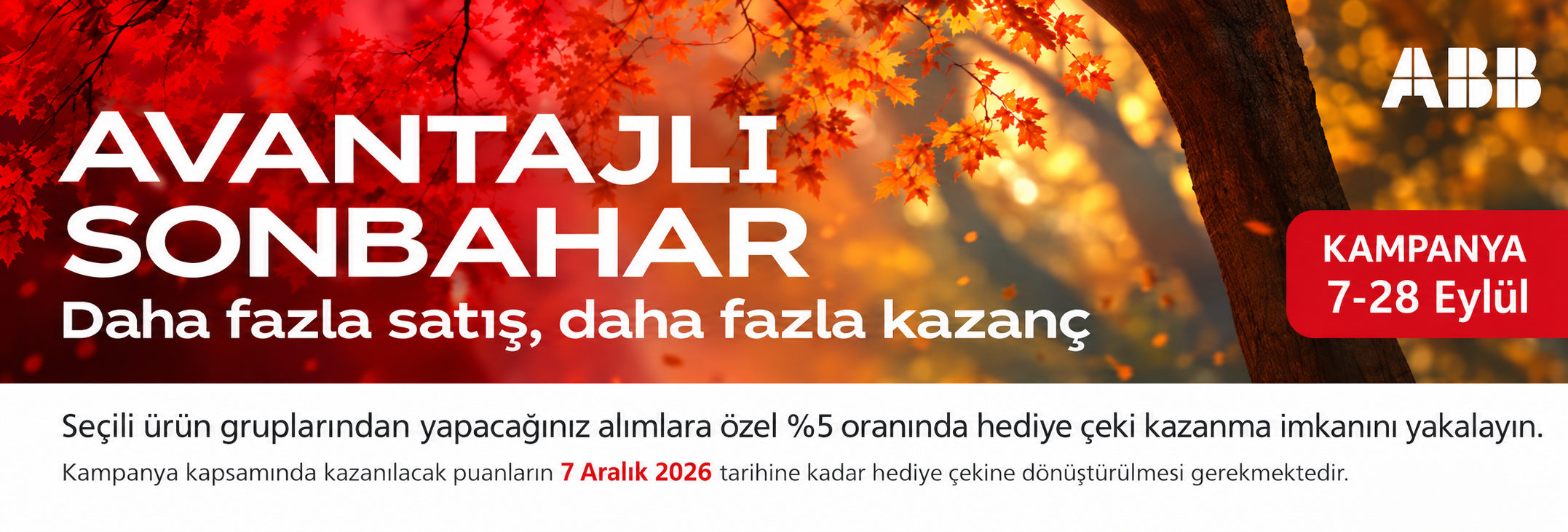 Salt Kampanyası 2025